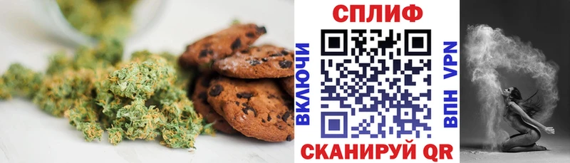 где купить наркоту  Пущино  Еда ТГК марихуана 
