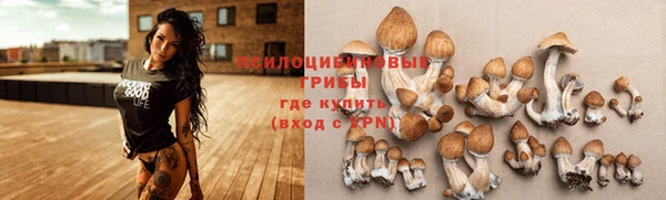 каннабис Баксан